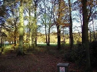 Ceder 1 Aan de Wolfsberg